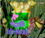 Bold Splash